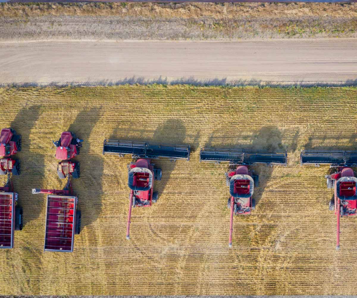 Agro-Export Logistics Hub