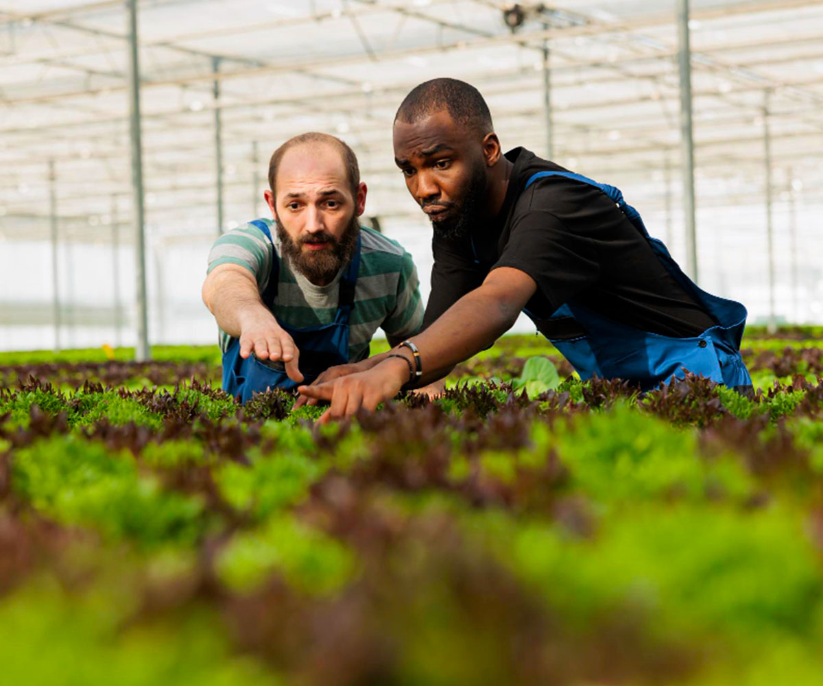 Farmer Training & Empowerment Program