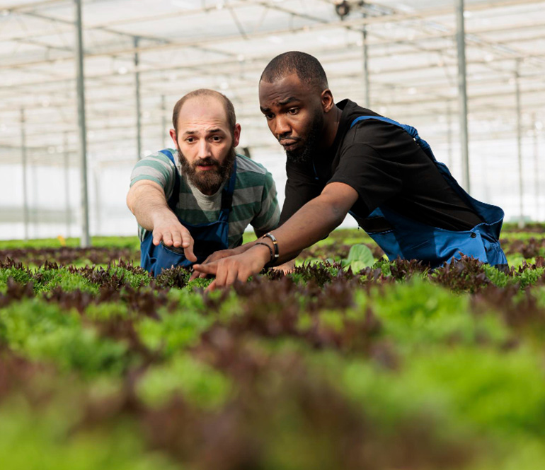 Farm Development & Land Management