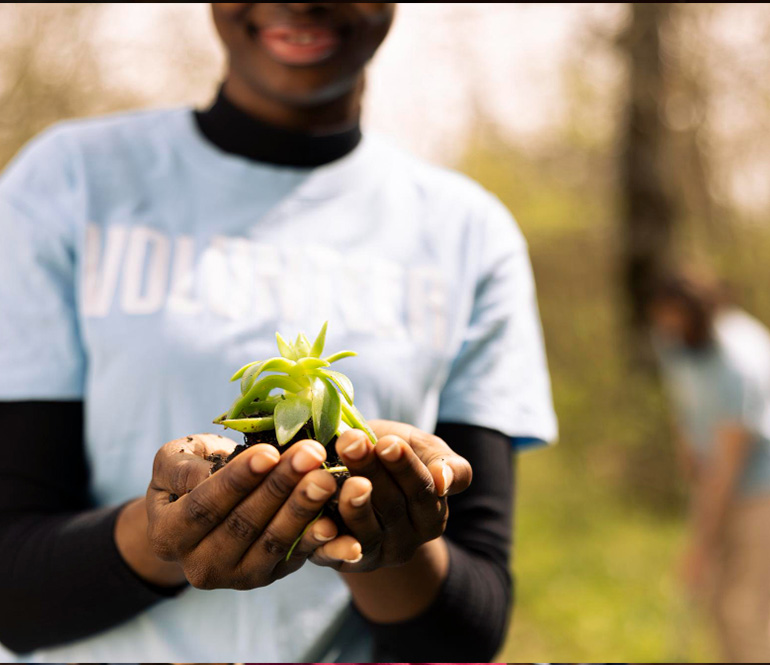Sustainability & Environmental Management
